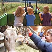 Le fattorie didattiche in Italia: tradizioni e natura per i bambini