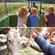 Le fattorie didattiche in Italia: tradizioni e natura per i bambini