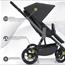 Concord anteprima 2013, passeggino Wanderer