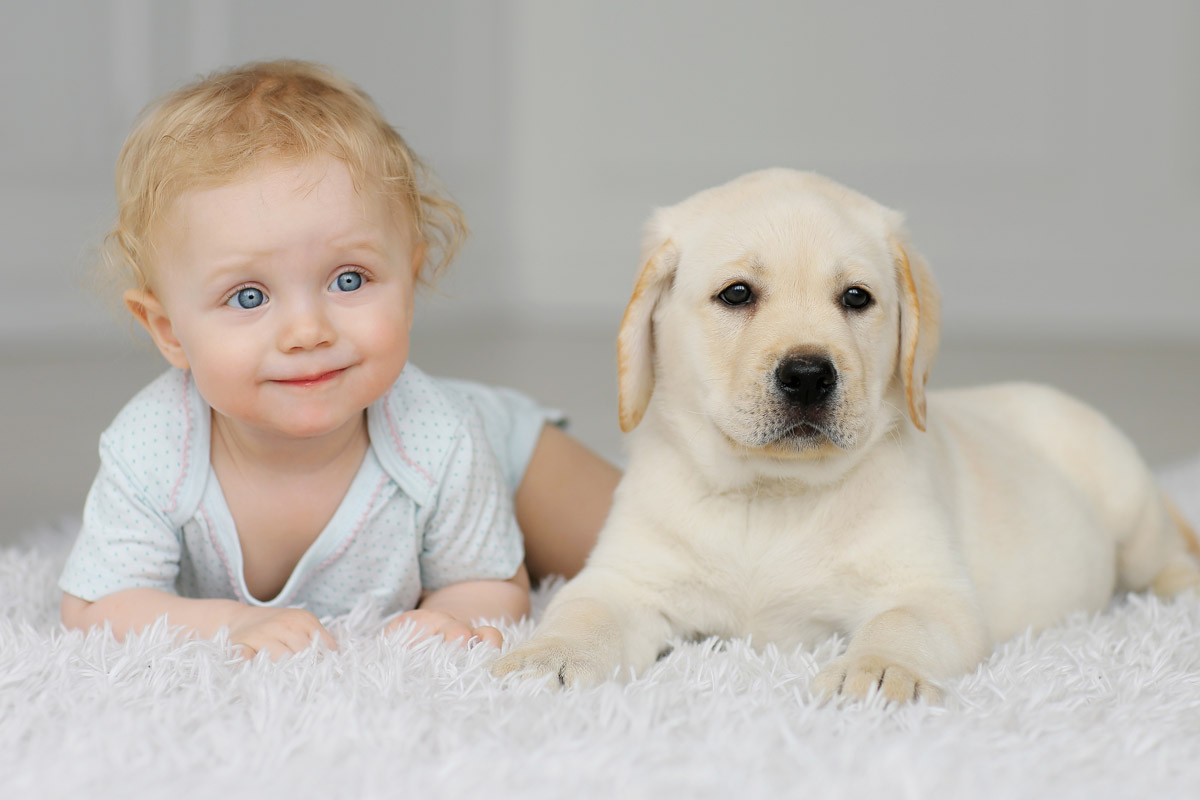 Bimbo con il suo cagnolino - animali in casa