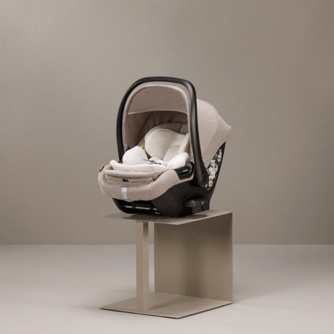 Inglesina Element - ovetto Darwin Recline