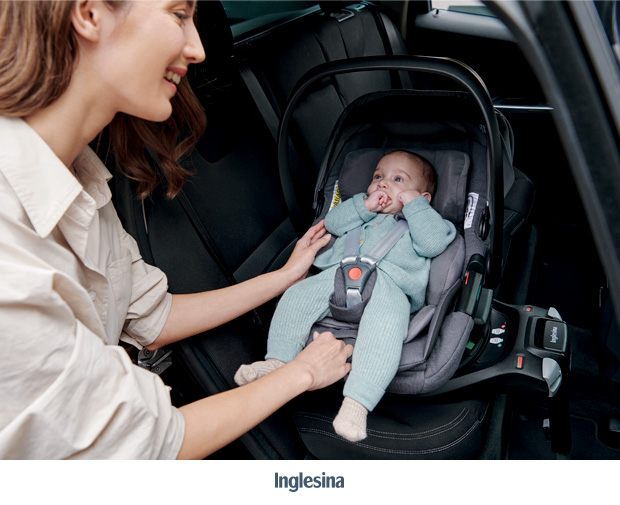 Inglesina Darwin Infant Recline