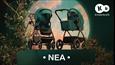 Kinderkraft NEA 2 in 1 e la special collection Nature Vibes