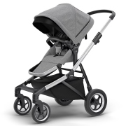 Thule Sleek