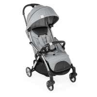 Chicco Goody