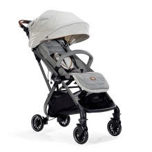 Passeggino Joie Signature Tourist