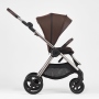 Anex IQ