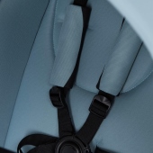 Dettaglio cinturine - Passeggino Duo Anex m/type