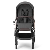 Vista frontale del passeggino - Passeggino Duo Inglesina Aptica System Duo